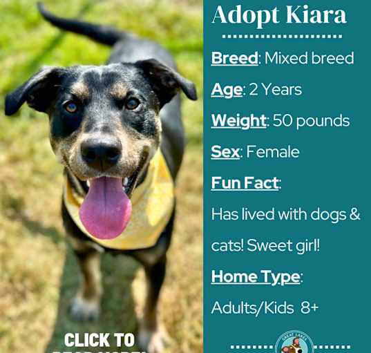 Photo of Kiara