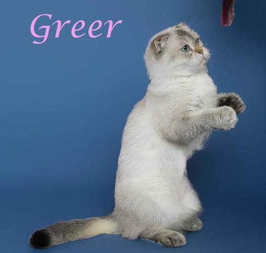 Photo of Greer C24-261