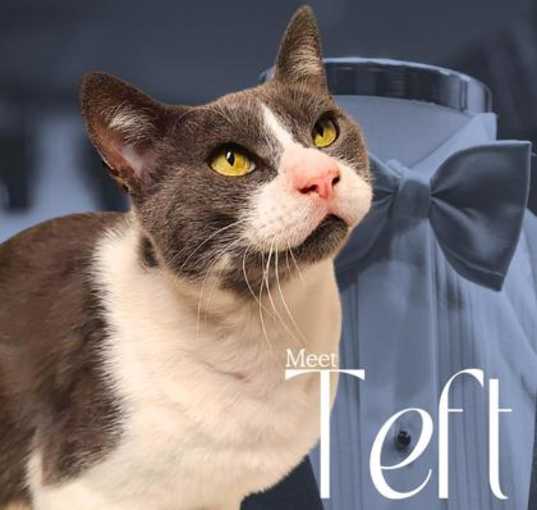 Photo of Teft