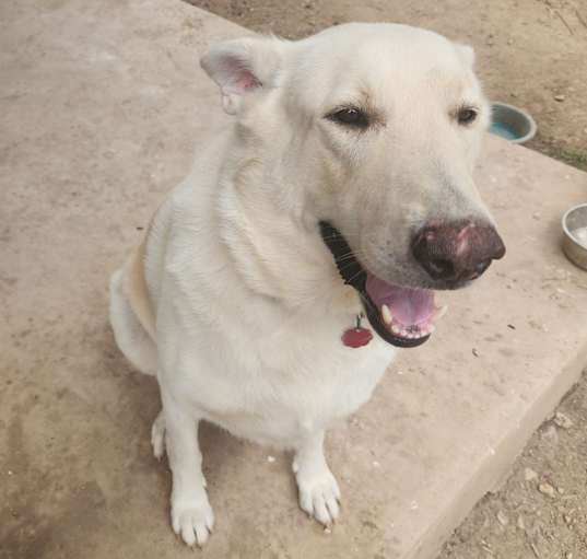 Photo of Gumbo