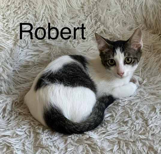 Photo of Robert