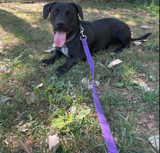 Photo of Tucker
