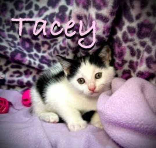 Photo of Tracey