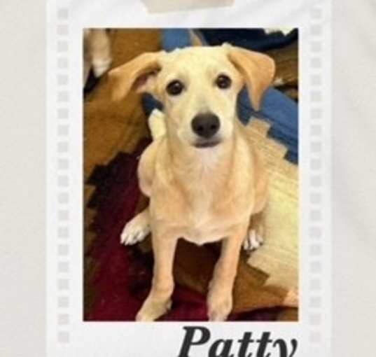 Photo of Patty