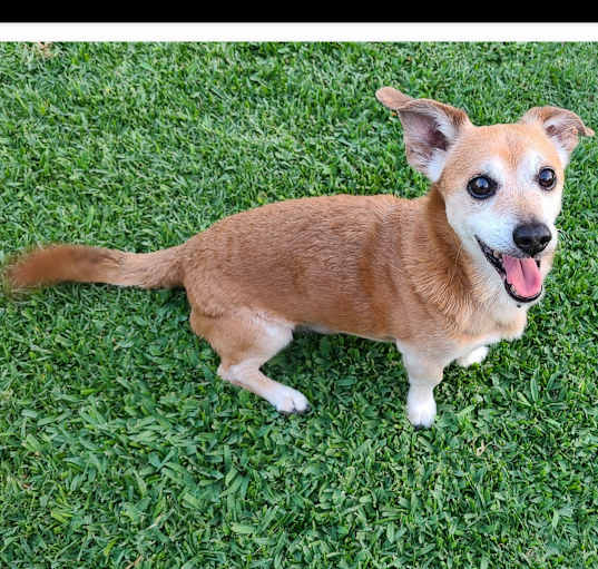 Photo of JACK JACK