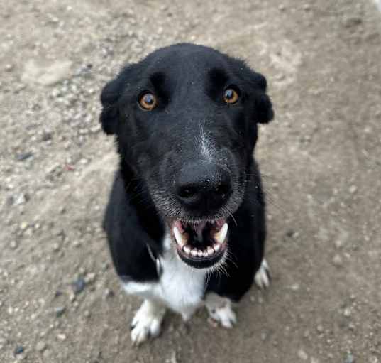 Photo of Happy Socks Peppercorn