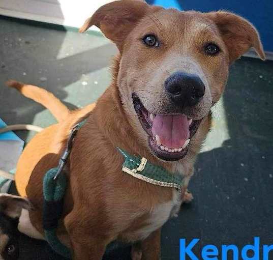 Photo of Kendrick