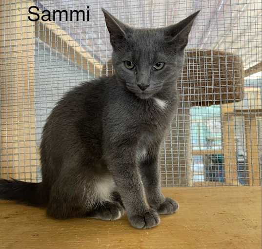 Photo of Sammi