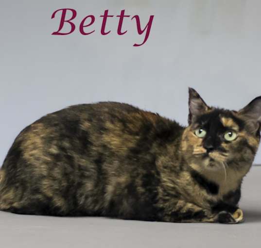 Photo of Betty C24-163