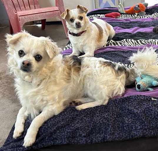 Photo of The Three Amigos
