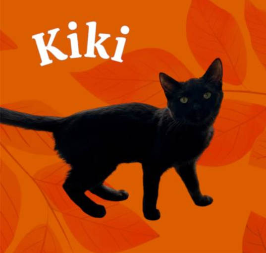 Photo of *KIKI