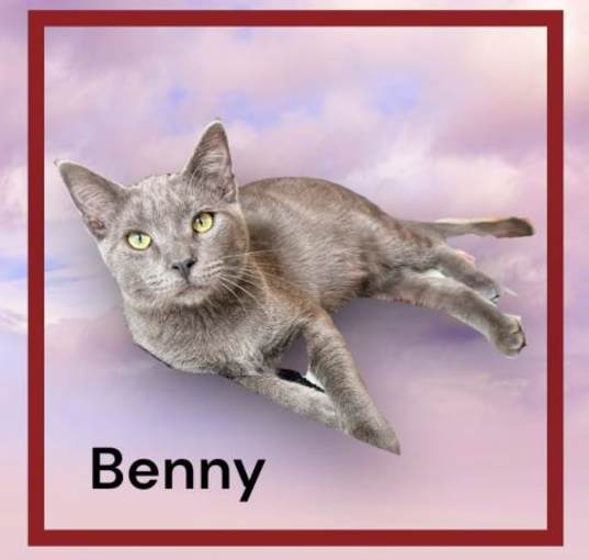 Photo of *BENNY