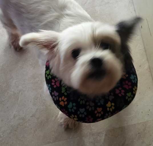 Photo of Nina