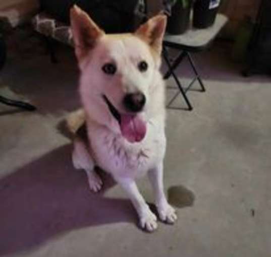 Photo of Schooner
