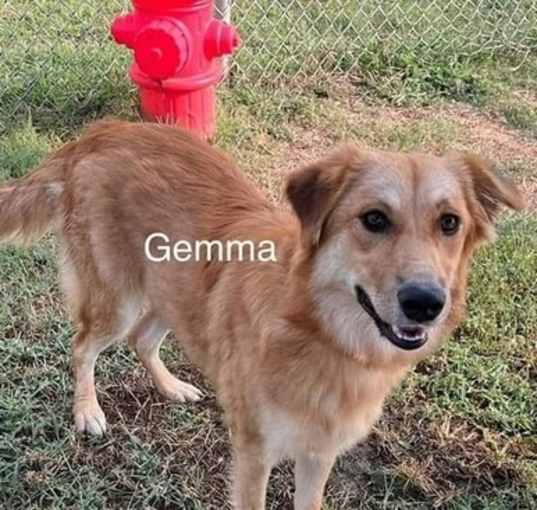 Photo of Gemma