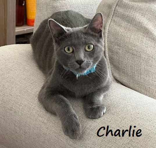 Photo of Charlie #brother-of-Lucille