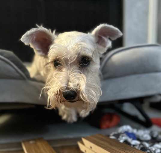 Photo of Maggie