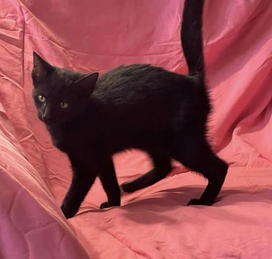 Photo of Aldie