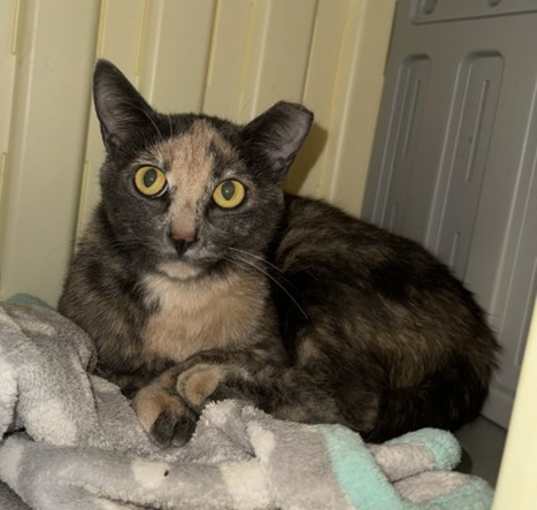 Photo of Matilda