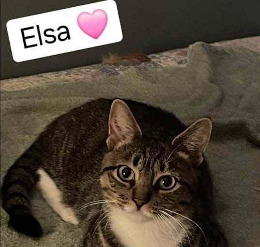 Photo of Elsa