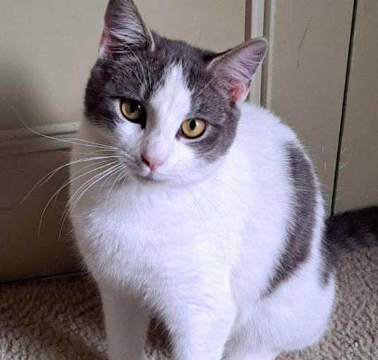 Photo of Princess