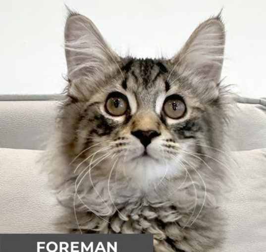 Photo of Foreman