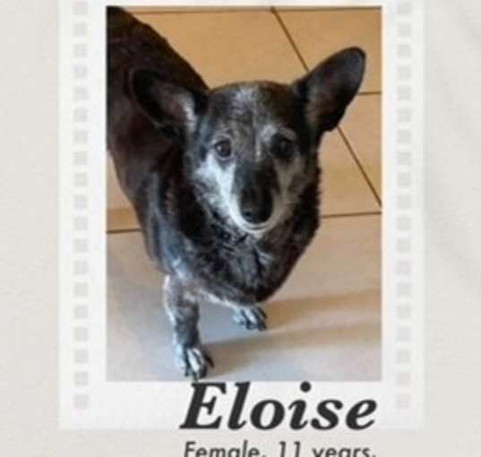 Photo of Eloise