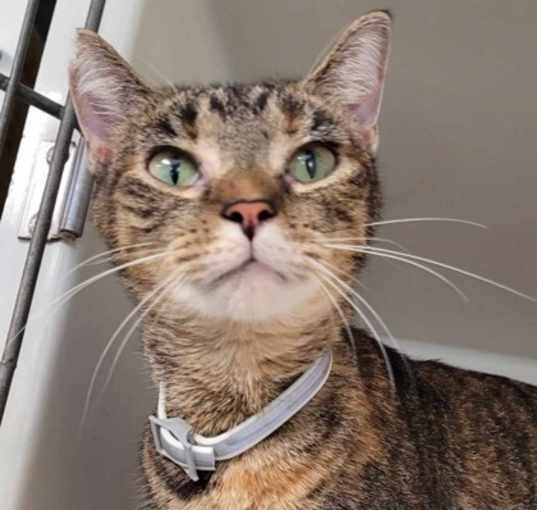 Photo of Sissy