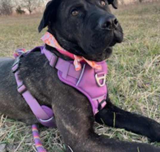 Photo of Enid