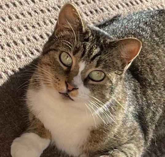 Photo of Izzy