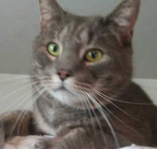 Photo of Benjamin