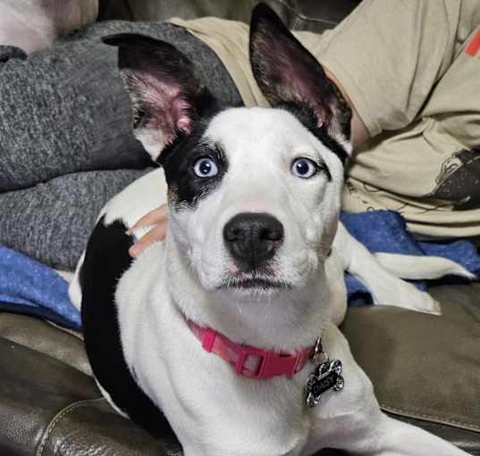 Photo of Daisy Mae