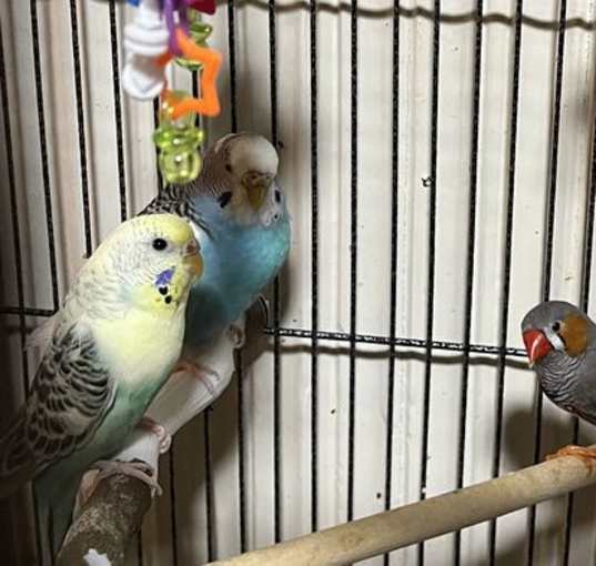 Photo of Sky, Cloud and Fernando