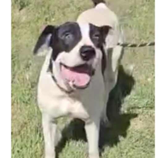 Photo of Walter