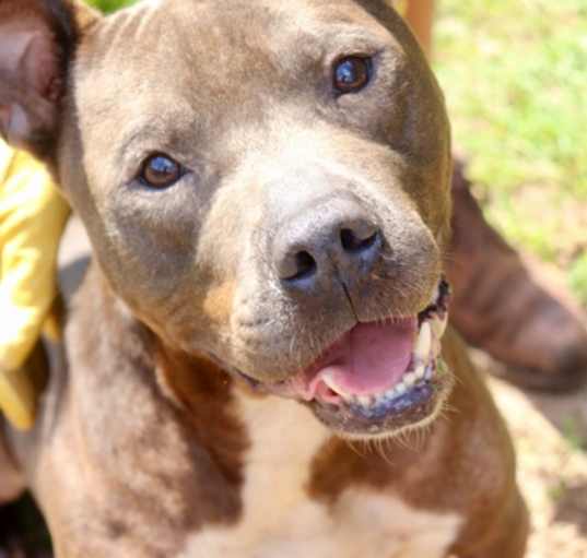 Photo of SMOKEY