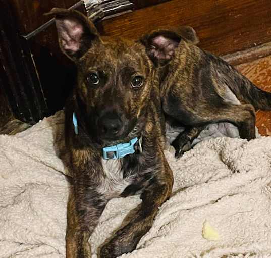 Photo of Murphy