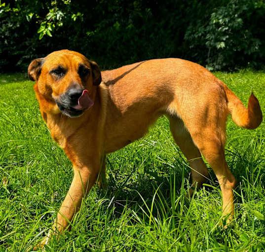 Photo of zippy