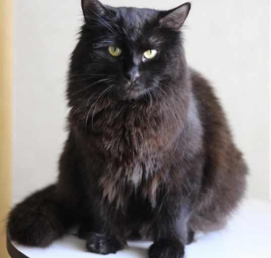 Photo of Maggie