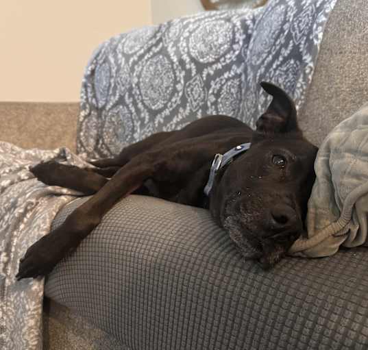 Photo of Cash