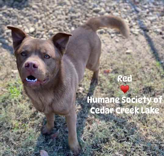 Photo of Red