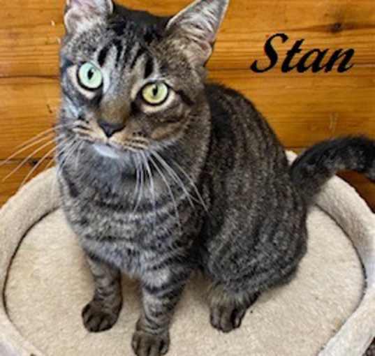 Photo of Stan