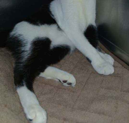 Photo of Yzma