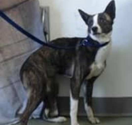 Photo of SPARTA