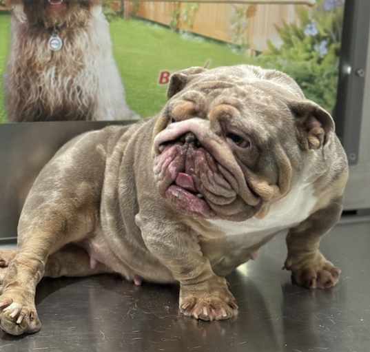 Photo of Harlee