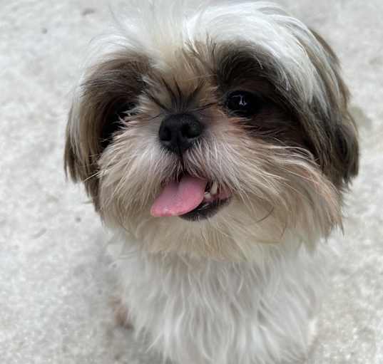 Photo of Mercy