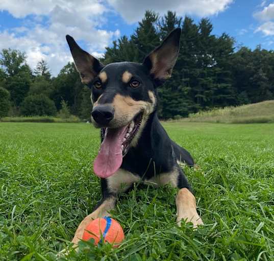 Photo of Sonny