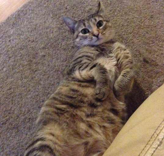 Photo of Axle