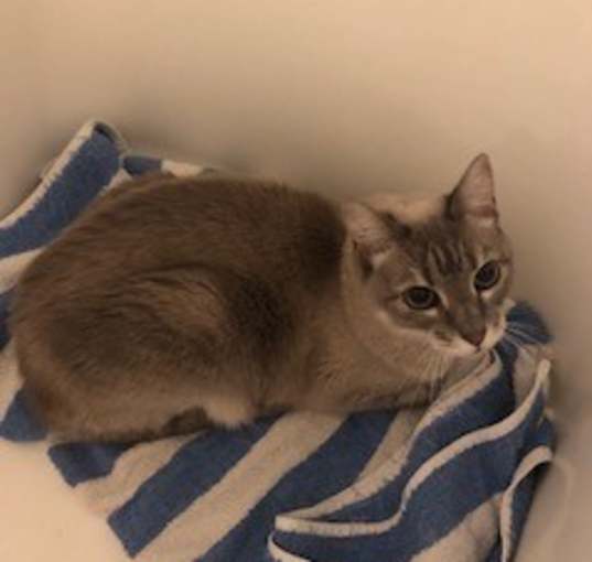 Photo of Stormie