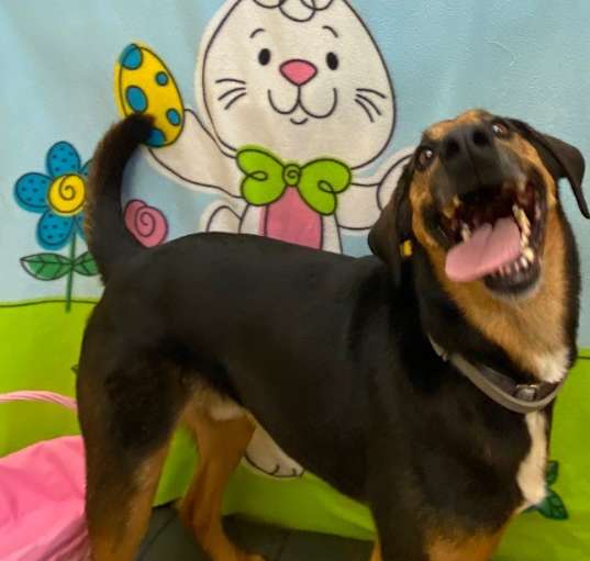 Photo of Doc
