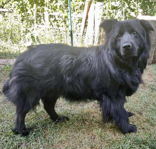 Photo of Sammy
